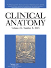 Clinical Anatomy