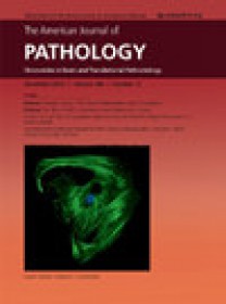 American Journal Of Pathology