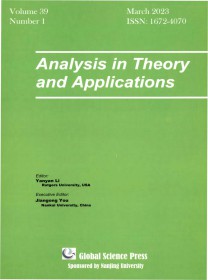Analysis In Theory And Applications