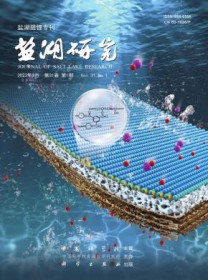 盐湖研究