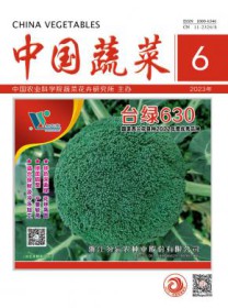 中国蔬菜