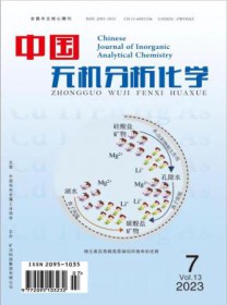 中国无机分析化学