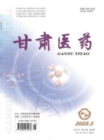 甘肃医药