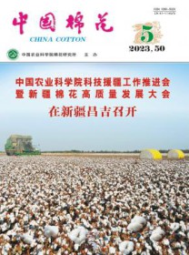 中国棉花