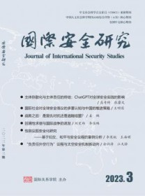 国际安全研究