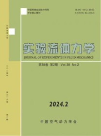 实验流体力学