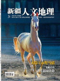 新疆人文地理