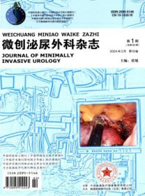 微创泌尿外科