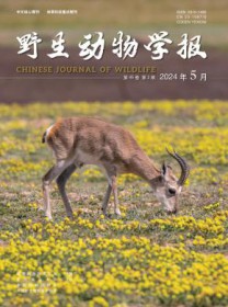 野生动物学报