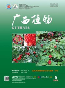 广西植物