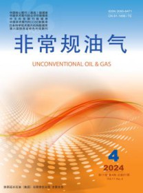 非常规油气
