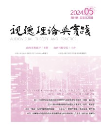 视听理论与实践