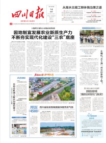 四川日报