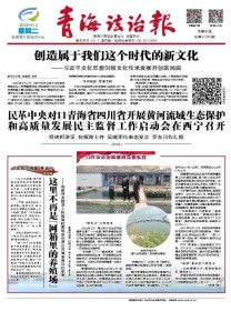 青海法治报