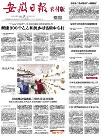 安徽日报·农村版