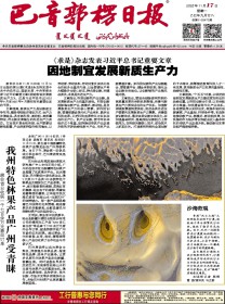 巴音郭楞日报(汉)