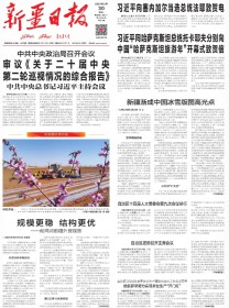 新疆日报(汉)
