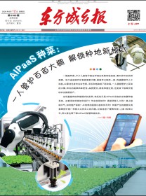 东方城乡报